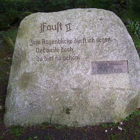 Heine Apartment-Friedegerns Fewo Schierke Rum bild