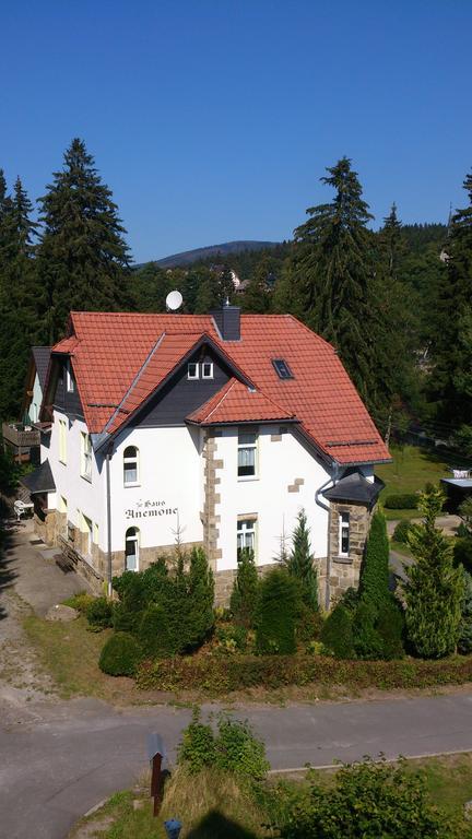 Heine Apartment-Friedegerns Fewo Schierke Exteriör bild